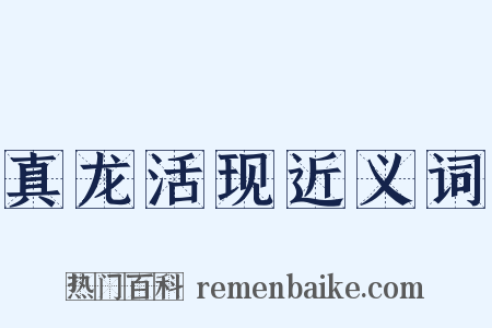 真龙活现近义词是什么意思的图片